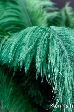 Autruche - 30-40 cm - vert sapin